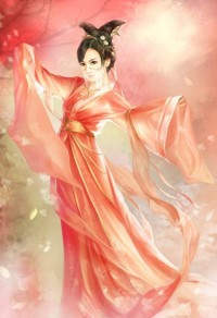 重生之军妻凌人